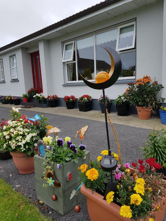 Apartmán Hillgrove House Boyle Exteriér fotografie