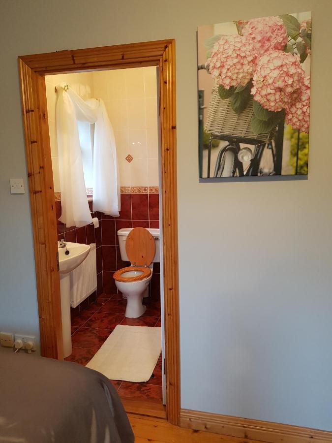 Apartmán Hillgrove House Boyle Exteriér fotografie